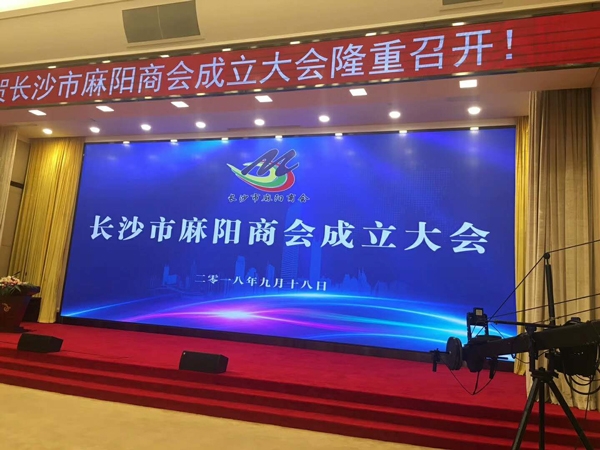 案例31